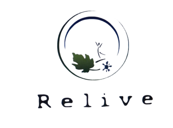 RS India Services Logo