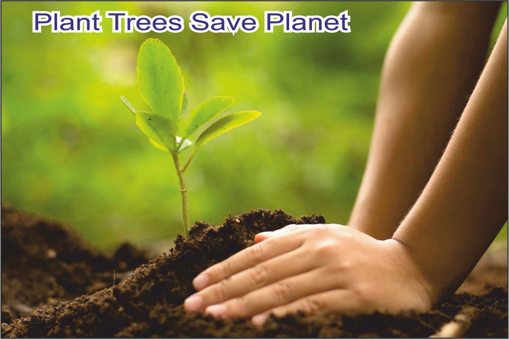 Plant trees to save the planet